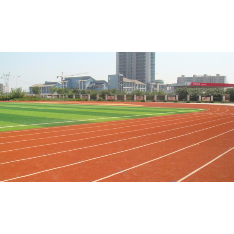 塑膠跑道造價，各種類型塑膠跑道價格